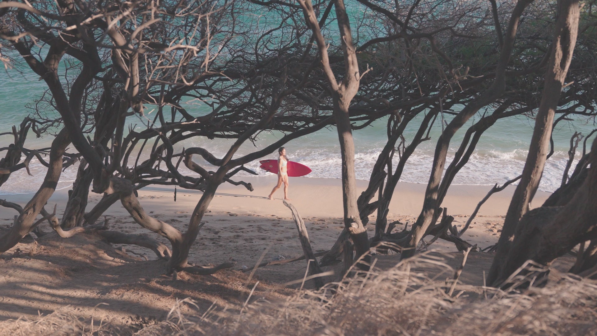 scenes of women having fun in hawaii